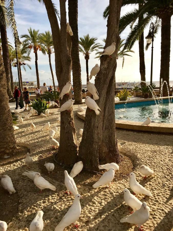 Cometa Center Benidorm Ngoại thất bức ảnh