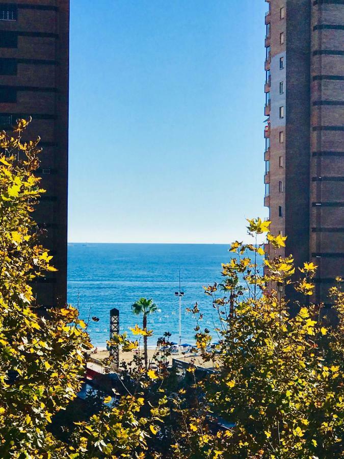 Cometa Center Benidorm Ngoại thất bức ảnh