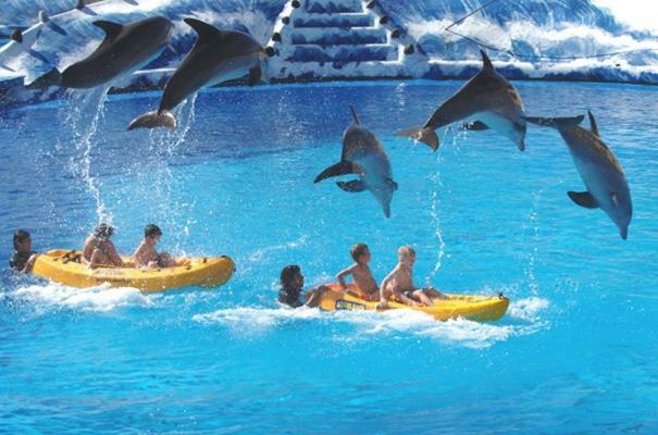 Cometa Center Benidorm Ngoại thất bức ảnh